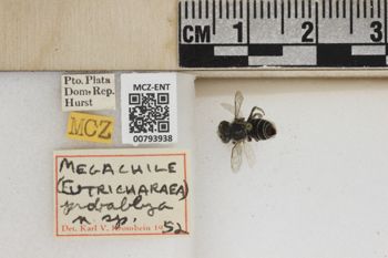 Media type: image;   Entomology 793938 Aspect: Labels
